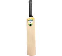 Mini Signature Cricket Bat Miniature Autograph Bat UK (Ashes)