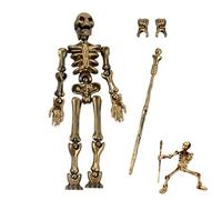 Mini Skeleton Model - Adjustable Design Craft Toy Halloween Skeleton Decor Movable Bone Figure Artistic Display Model Fully Articulated Frame Design | Toy D