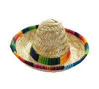 Mini Sombrero | Woven Mexican Party Hats,Headband Wide-Brim Decoration Costume for Kids Children Pet Birthday Celebrations