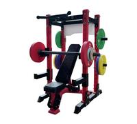 Mini Squat Rack, Desk Fitness Model, 3d Printed Duplicate, Gym Scale Ornament, for Home Office Bookshelf Tabletop Cabinet Desk Decor Collectible Gift Adults Men Women Friends Use 3.94x4.72x7.09 Inches