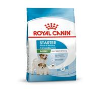 Royal Canin Mini Starter Mother & Babydog - 4kg