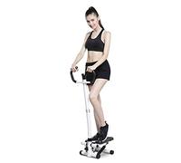 Mini-Stepper Swing Stepper Step Machine with Safety Armrest and Smart Dial Twist Stair Steppe Workout Fitness Machine fo