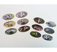 Mini Sticker Pack of 12 Badger Stickers, 40x20mm Oval, Self-Stick Labels
