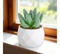 Mini Succulents Artificial Succulent Green in Geometric Diamond Pot Christmas Small Fake Plants for Home Decor Tabletop Greenery(Greenb)