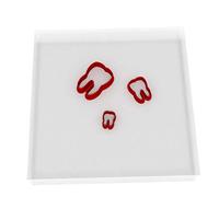 Mini/Tiny Tooth Set of 3 Value Fondant Cutter 1.5CM + 2CM + 3CM