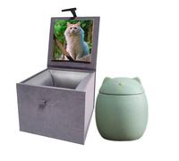 Mini Urns for Ashes, Handicrafted Matte Ceramic Cat Ashes Urns Small Pets Ashes Keepsake Memorial Gift, Ashes Holder with Exquisite Box-Light Green Small