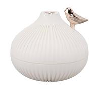 Mini USB Humidifier with Night Light - Xiao Yang Onion Bird Aromatherapy Diffuser for Home, Office, Desk, and Air Conditioning Room