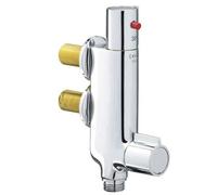 Mini Vertical Thermostatic Shower Mixer Valve