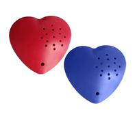 Mini Voice Recorder - 60 Second Interactive Recording Insert | Voice Recorder Ornament, Fun Audio Recording Device For Kids Boys Classroom Valentine Memorial Home Holiday Outdoor Use