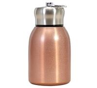 Mini Water Bottle, Small Water Bottle 300ML Safe Stainless Steel Small Flask Vacuum Insulated Thermal Cup Leak-Proof Portable Mini with Hook for Indoor Outdoor Rose Gold