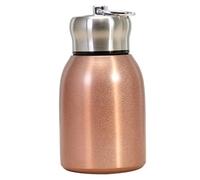 Mini Water Bottle Small Water Bottle 300ML Safe Stainless Steel Small Flask Vacuum Insulated Thermal Cup Leak-Proof Portable Mini with Hook Rose Gold