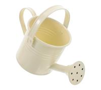 Mini Watering Can with Handle, Galvanized Iron Beige for Succulents | Fine Spout, Portable Root-level Watering, Desk Plant Care for Indoor Cacti, Apartment Use