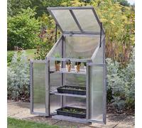 Mini Wooden Gro-Zone Greenhouse With 3 Shelves - Germinate Seeds, Propagate Plants & Grow Exotic Fruit & Veg - H100 X W57 X D41Cm