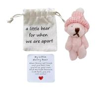 Mini Worry Bear with A Hat, Mini Pocket Bears Hug Plush with Encouragement Little Card, Cute Positive Mini Bear Valentine's Day Gifts for Lovers Family Friend