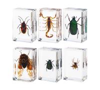 Miniature Animal Scorpions Spiders Specimens In Resin 6PCS Collection Paperweights For Biology Study And Gift Giving Multicolor 6 piece set