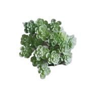 Miniature Artificial Succulent Plant Wedding Party Decoration, Small Artificial Potted Plants Micro Landscape Decoration(white)