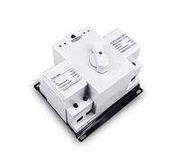 Miniature Circuit Breaker ATS 2P 63A 230V MCB Type Dual Power Automatic Transfer Switch(2 INPUT 2 OUTPUT)
