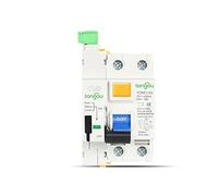 Miniature Circuit Breaker RCCB RCD 6KA AC 2P 230V Type Automatic Self-Reclosing Device Differential Circuit Breaker 63A 30mA 100mA 300mA Smart(2Pole 100mA,40A)