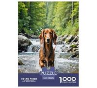 Miniature Dachshund 1000 Piece Jigsaw Puzzles Fun Challenging Modern Pet Dog Classic Educational Games Creativity & Gift Giving For Children And Adults Aged 14 And Over 38x26cm/1000pcs