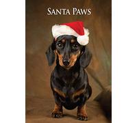 Miniature Dachshund Dog Christmas Card by Charles Sainsbury-Plaice. Large A5 size with envelope.