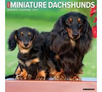 Willow Creek Press, Just Miniature Dachshunds 2027 Wall Calendar
