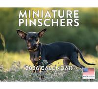 Miniature Pinscher Calendar 2026 Wall
