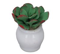 Miniature Potted Plants Cute Decor DIY Dollhouse Props Portable Ceramic 3cm High