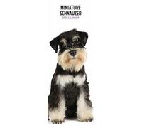 Miniature Schnauzer 2025 Slim Calendar