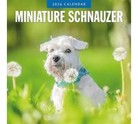 Miniature Schnauzer - 2026 Square Wall Calendar - by Red Robin Publishing