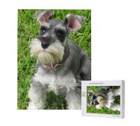 Miniature Schnauzer,500 Pieces Wooden Jigsaw Family Game Jigsaw Puzzles for Adults Teens