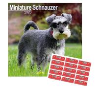 Miniature Schnauzer Calendar 2026 | 12 months Jan to Dec 2026 | with FREE Organisational Stickers