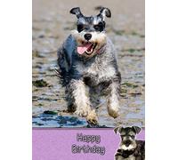 Miniature Schnauzer Dog Birthday Card