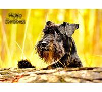 Miniature Schnauzer Dog Christmas Card 'Happy Christmas' - Special Animal Xmas Card for Him Her from Pets Kids
