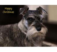 Miniature Schnauzer Dog Christmas Card 'Happy Christmas' - Special Animal Xmas Card for Him Her from Pets Kids