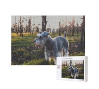 Miniature Schnauzer Lawn Pets Gray Dogs,300 Pieces Wooden Jigsaw Family Game Jigsaw Puzzles for Adults Teens Home Decor