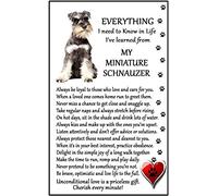 Miniature Schnauzer Lover (I Learned from my Miniature Schnauzer) Gift - Large Fun flexible Fridge Magnet- size 16cms x 10 cms (approx. 6" x4")