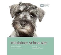 Miniature Schnauzer: Miniature Schnauzer - Dog Expert