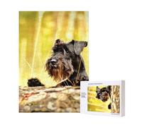Miniature Schnauzer Pets Black Dogs,300 Pieces Wooden Jigsaw Family Game Jigsaw Puzzles for Adults Teens