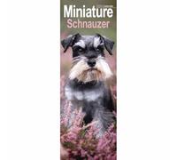 Miniature Schnauzer Slim Calendar 2026, Wall Calendars, Month To View, Gift