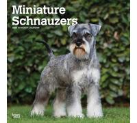 Miniature Schnauzers | 2025 12 x 24 Inch Monthly Square Wall Calendar | Plastic-Free | BrownTrout | Animals Small Dog Breeds