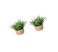 Miniatures Dollhouses Plant Minis Potted Plant Decoration, A