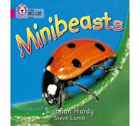 Minibeasts : Band 01a/Pink a