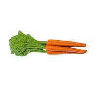 Miniblings Carrot Carrots Brooch Pin Badge Button Vegetable Healthy Food Rabbit