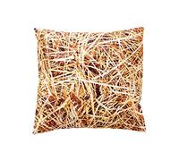 Miniblings Pillow Cushion Children Baby Child 25X25Cm Straw Hay Meadow Country