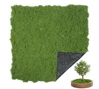Minicoco Fake Moss Artificial Moss, 400g Fake Decorative Moss, Moss Mats Craft Live Moss Art Moss for Wall Decorating, Home, Garden, Landscaping, Floristry, DIY & Terrarium, Deep Green