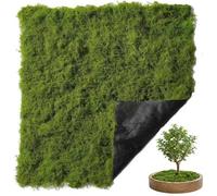 Minicoco Large Artificial Moss 100 x 100 cm Fake Moss Art Moss for Wall Decorating Deep Green Fake Decorative Moss Craft Moss Mats for Home Garden Landscaping Floristry DIY & Terrarium