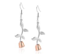 Minicremation Urn Earrings for Ashes Stainless Steel Rose Flower Urn Earrings for Ashes Cremation Urn Keepsake Memorial Earrings Holder Ash Jewelry for Women for Pet/Human