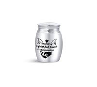 MiniJewelry Mini Cremation Urn for Ashes Sepulchral Cinerary Funeral Keepsake Memorial Holder BFF Women Men Family Faithful Best Friends Dog Cat