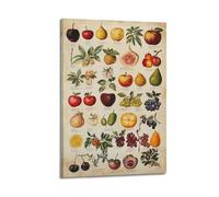 Minimalist Abstract Canvas Wall Art Prints Picture - Vintage Fruit Poster with Diverse Fruits And Leaves Wall Decor Artwork Posters 12x18inch(30x45cm)