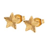 Minimalist Floral Studs Earrings for Women Stainless Steel Comfortable Design Feeling Fashion Star Earrings
